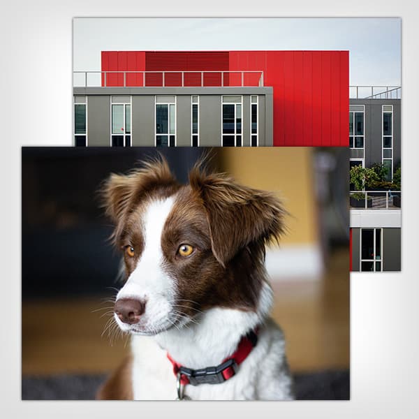 image of 2 8.5x11 inch prints