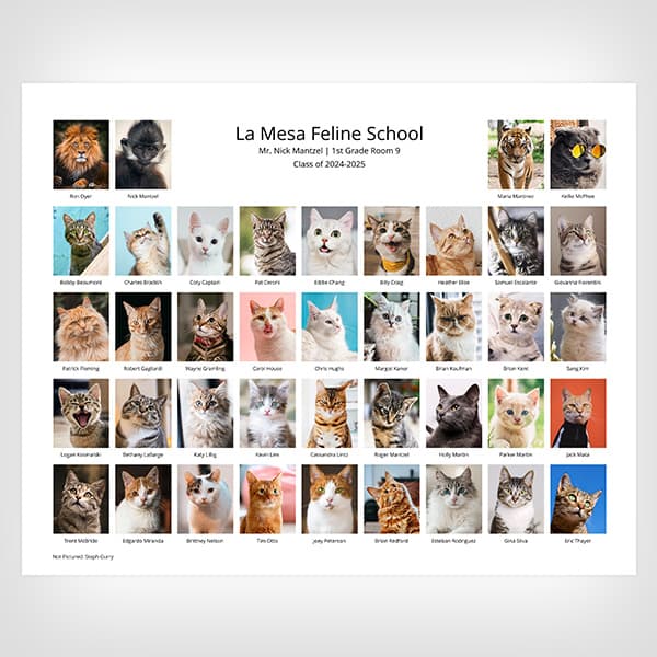 Image of a class composite 8x10 print